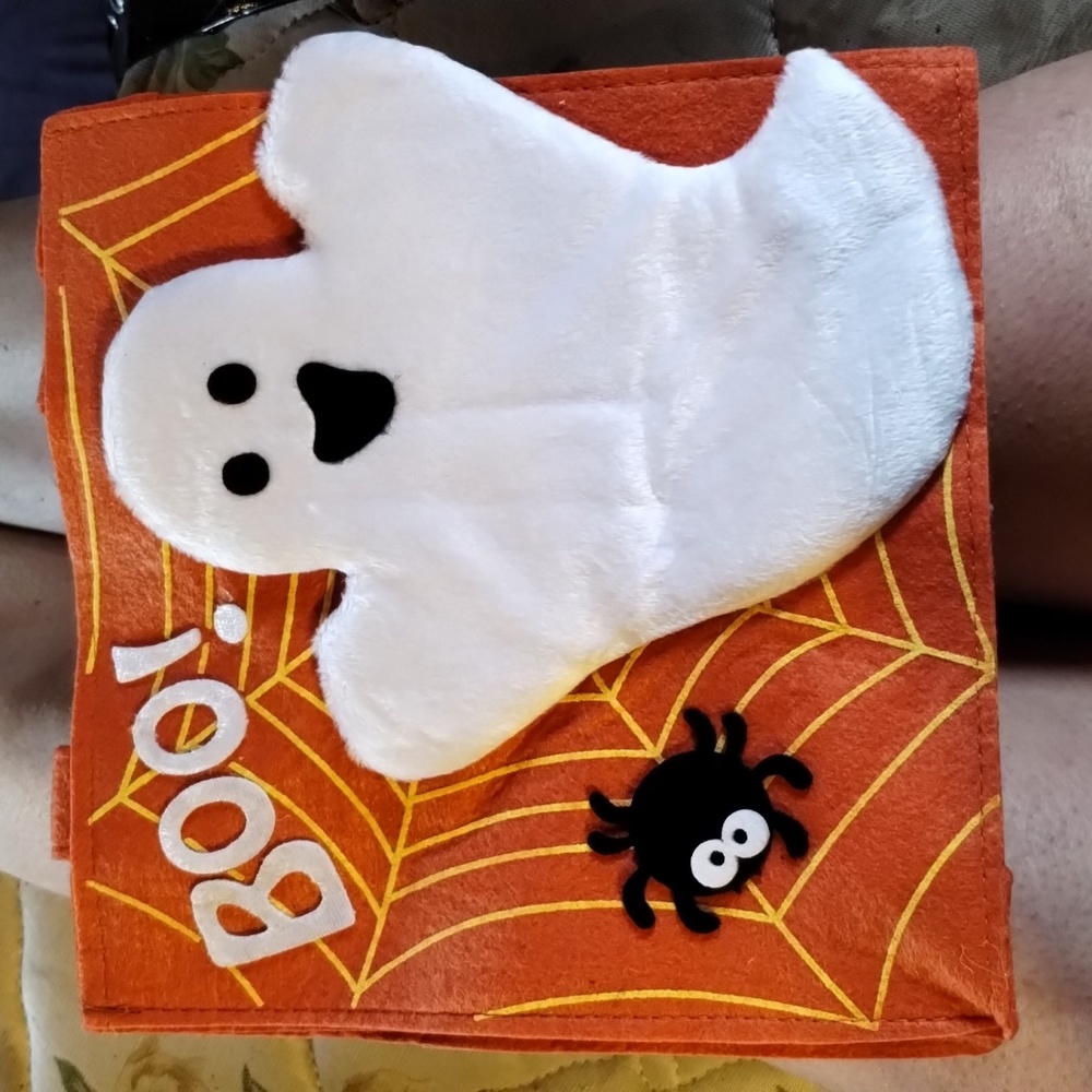 Ghost and spider "boo" bag
